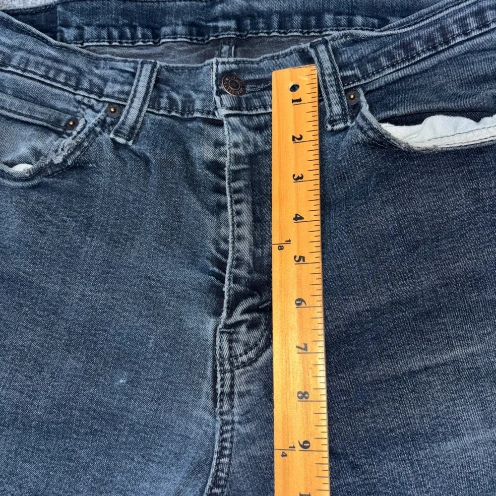 Levis levis 504